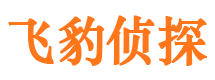 江海侦探公司